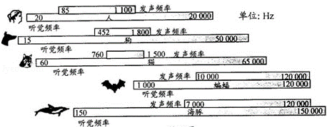 不同生物聽覺赫茲范圍